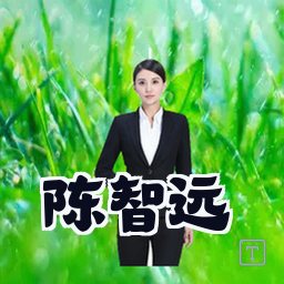陈智远